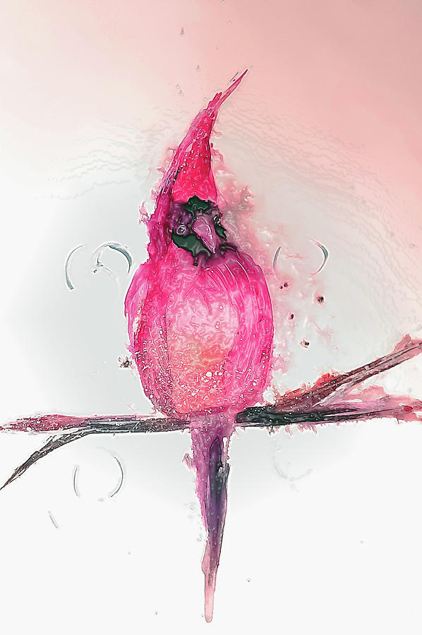 Cone Head Cardinal Digital Art by Lisa Kaiser