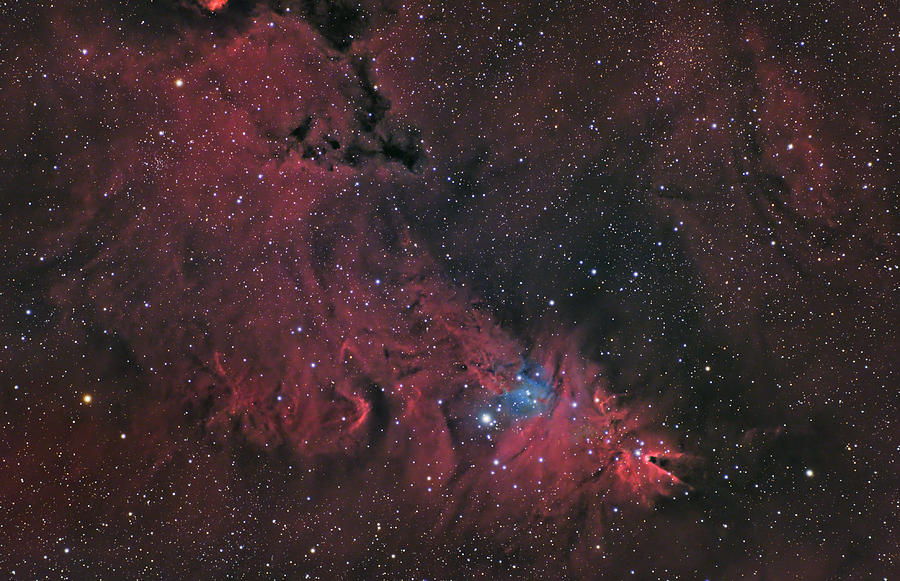 Cone Nebula and Christmas Tree Cluster Photograph by Brian Weber