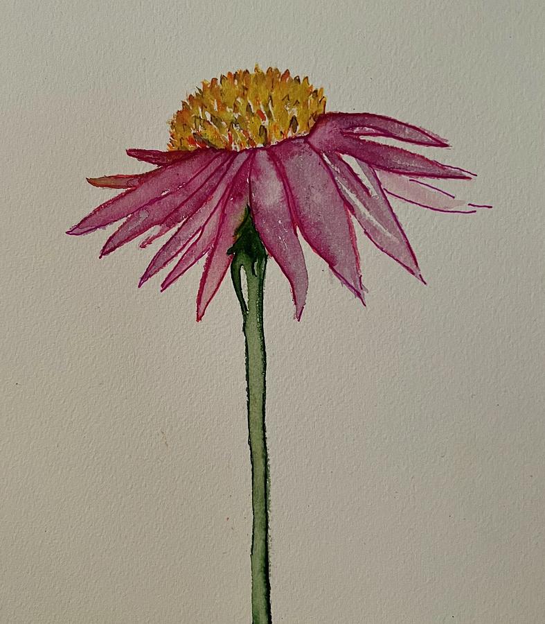 Coneflower Painting by Cindy Parker - Fine Art America