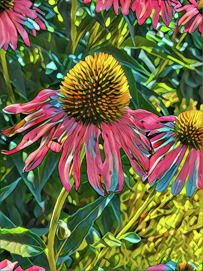 Coneflower Digital Art By Doug Woodall Fine Art America