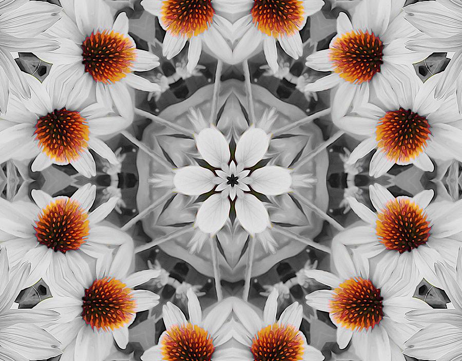Coneflower Kaleidoscope Digital Art by Yolanda Caporn