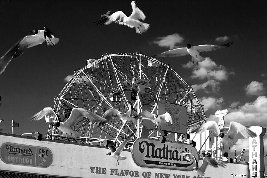 Coney Island Avatar Photograph by Yuri Lev