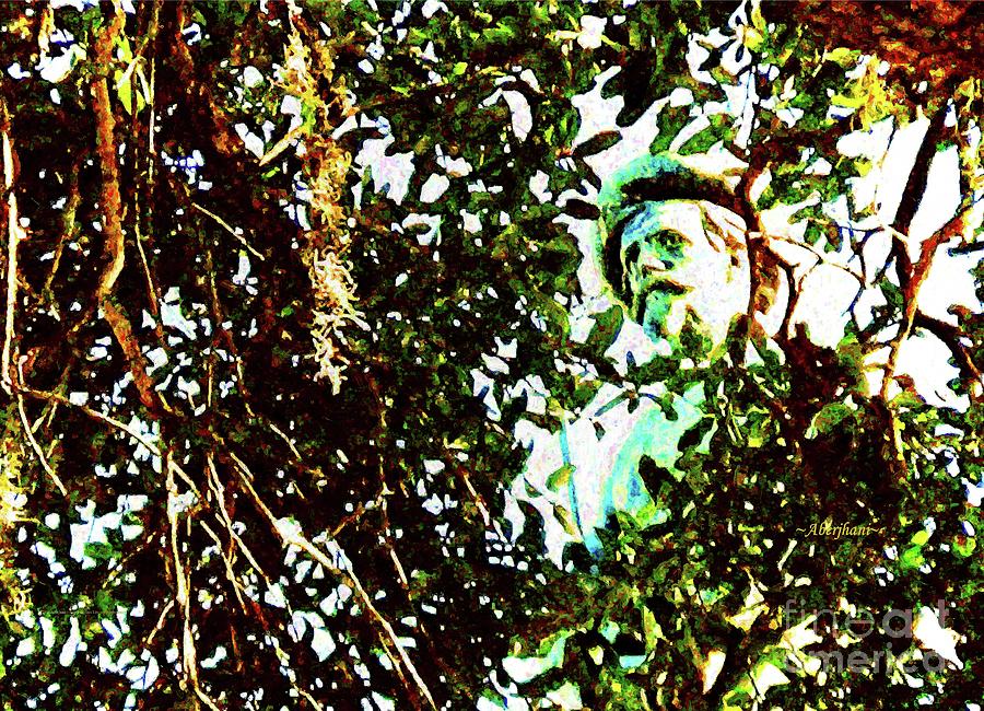 Confederate Ghost through a Lens of Leaves Number 3 Photograph by Aberjhani Confederate Ghost through a Lens of Leaves Number 3 Photograph by Aberjhani