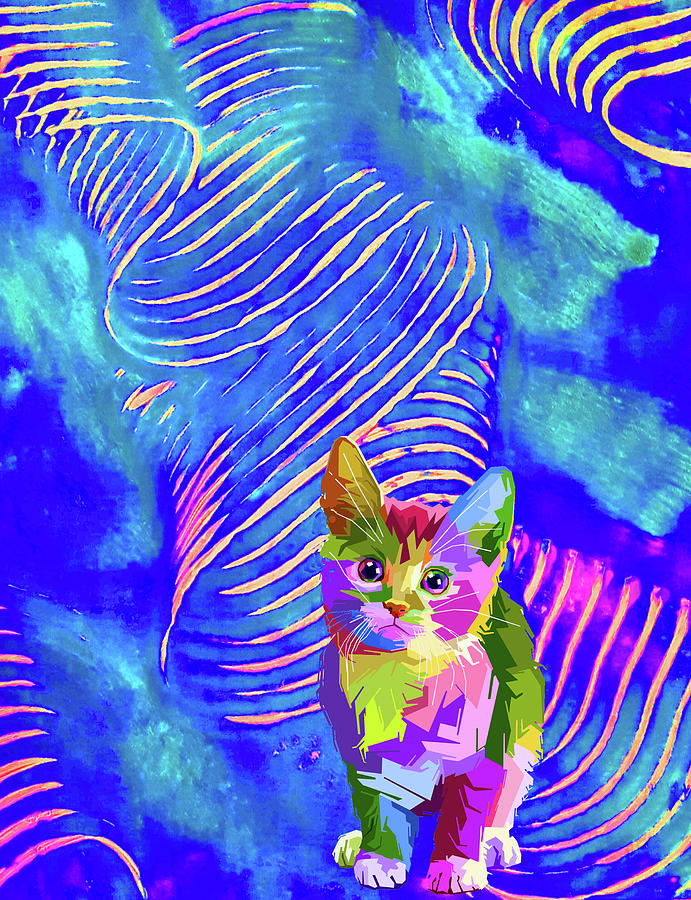 Confused Cat Mixed Media by Norma Laurie - Fine Art America