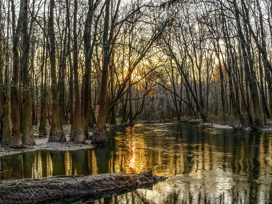Congaree Creek at Sunset Photograph by Charles Hite
