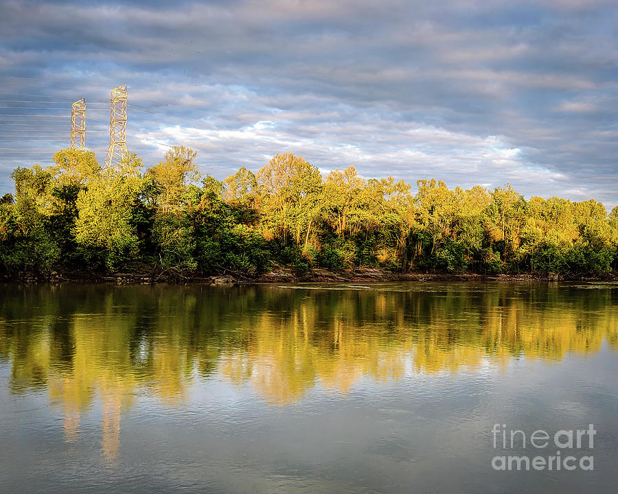 Congaree River - 3 Photograph by Charles Hite