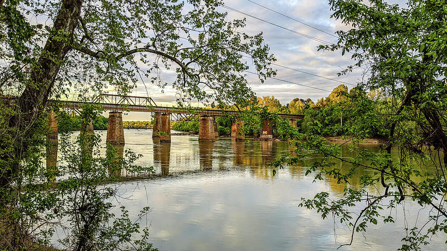 Congaree River Trestles - 1 Photograph by Charles Hite