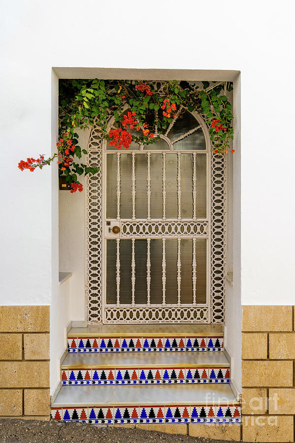 Landmark Photograph - Conil de la Frontera Door by Nando Lardi