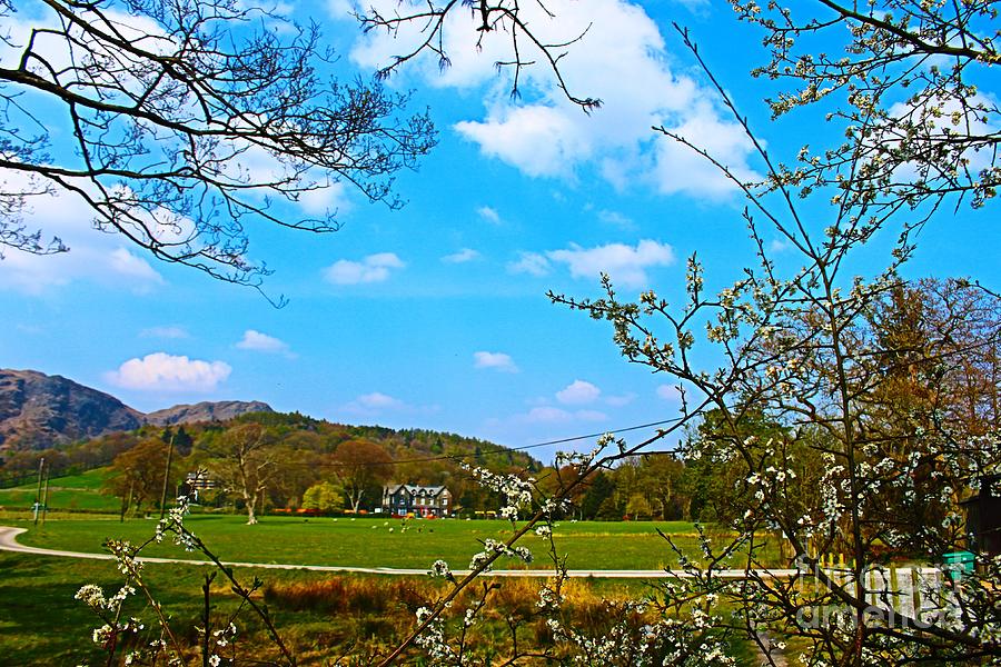 Coniston In Spring 3 Photograph