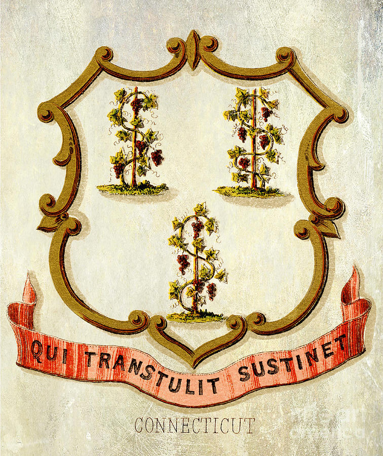 Connecticut Coat of Arms 1876 Photograph by Jon Neidert