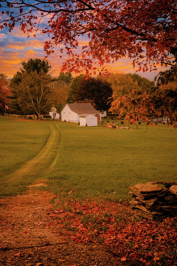 Connecticut Farm Path In Autumn Photograph