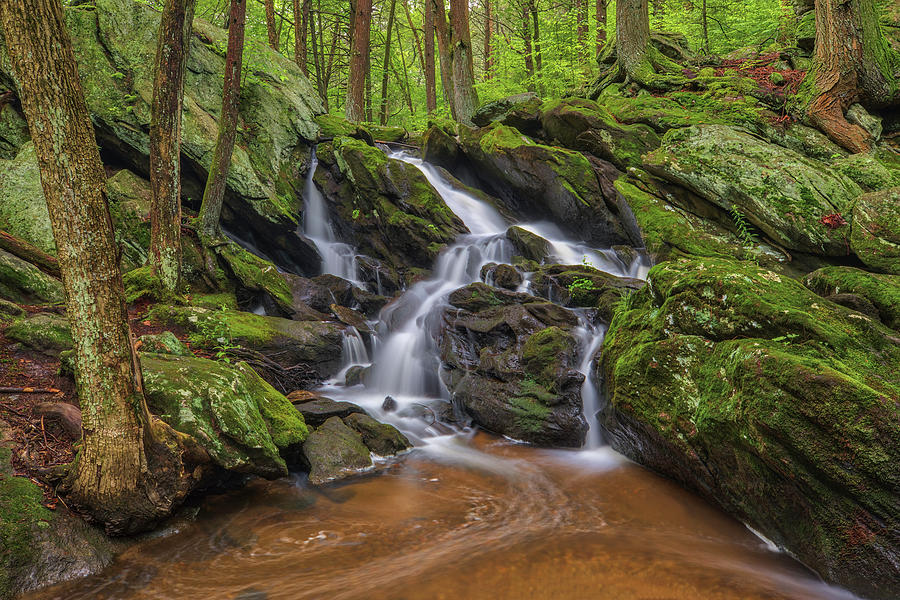 Connecticut Forest and Waterfall Scenery Photograph by Juergen Roth