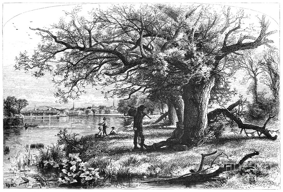 Connecticut River, 1874 Drawing by J Douglas Woodward