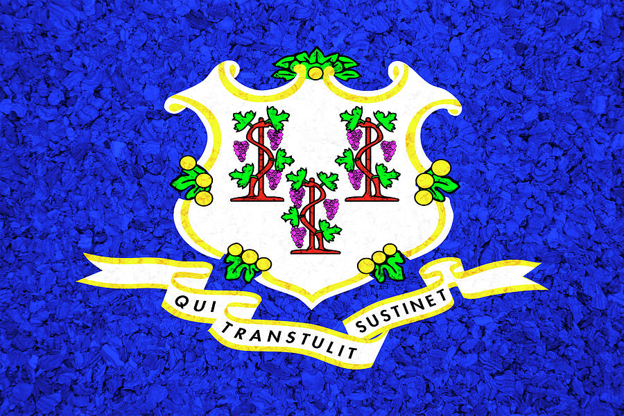 Connecticut State Flag On Cork Photograph