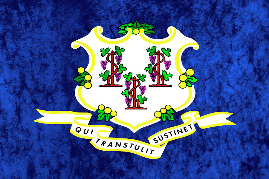 Connecticut State Flag On Paper Photograph