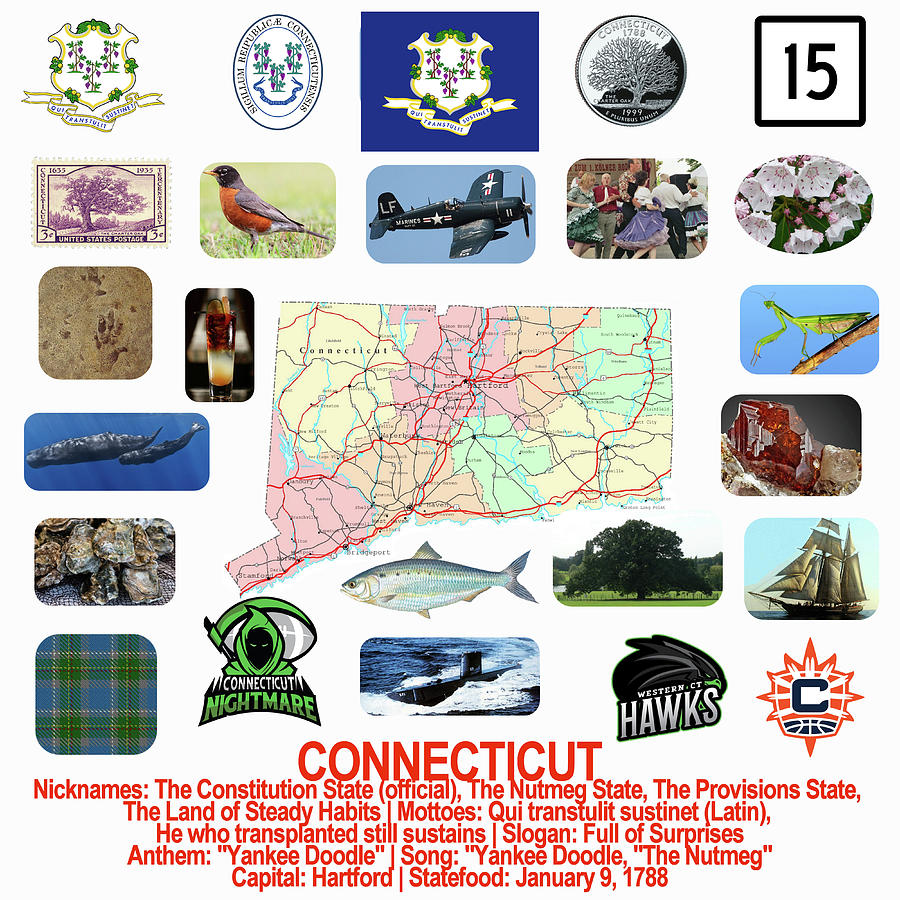 Connecticut State Symbols Photograph by Robert Banach