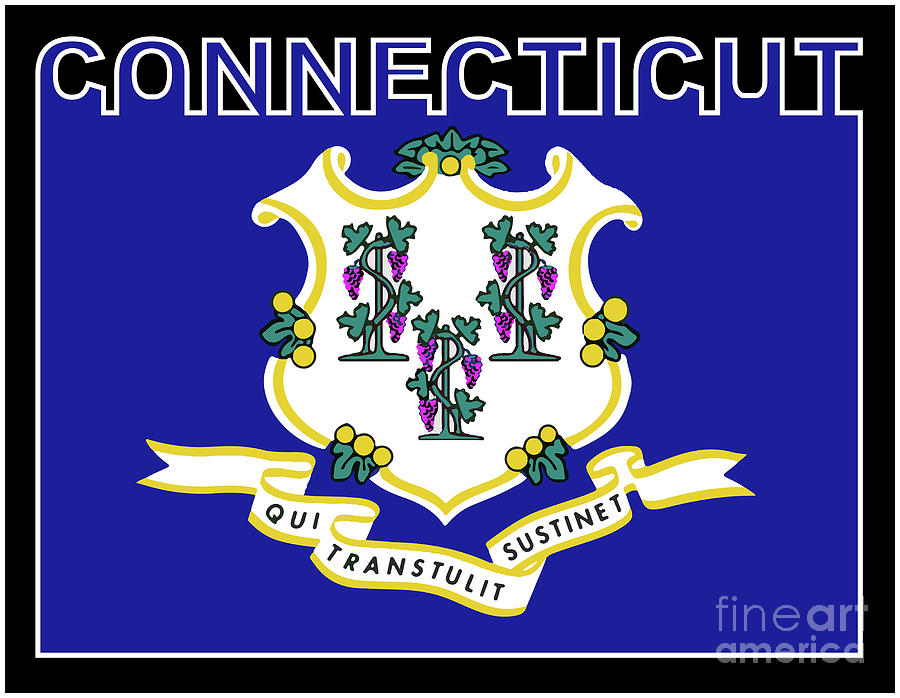 Connecticut State Text Flag Digital Art