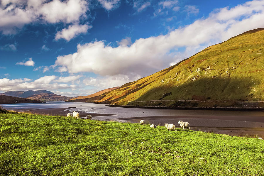 Connemara Landscape Ireland Photograph by Pierre Leclerc Photography