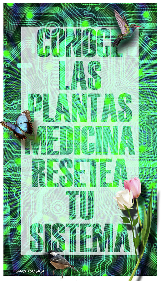 Conoce Las Plantas Medicina Digital Art by J U A N - O A X A C A