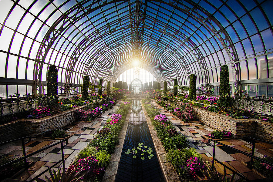 Conservatory Heaven Photograph by Nicole Engstrom