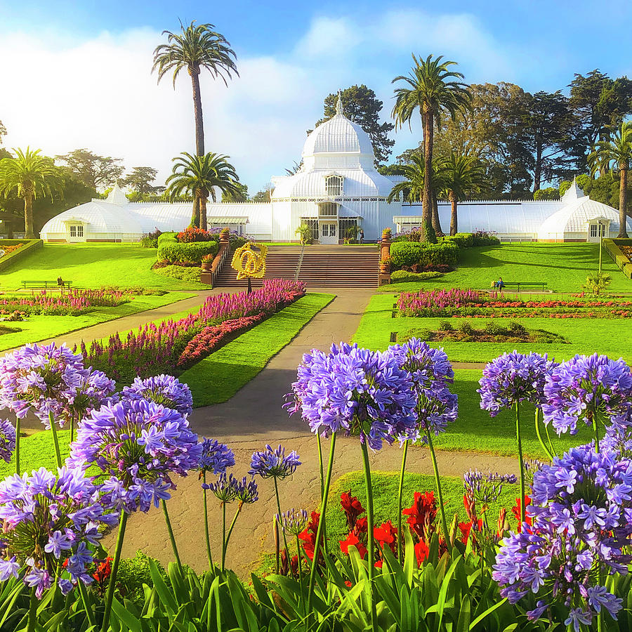 Conservatory of Flowers Photograph by Louis Raphael