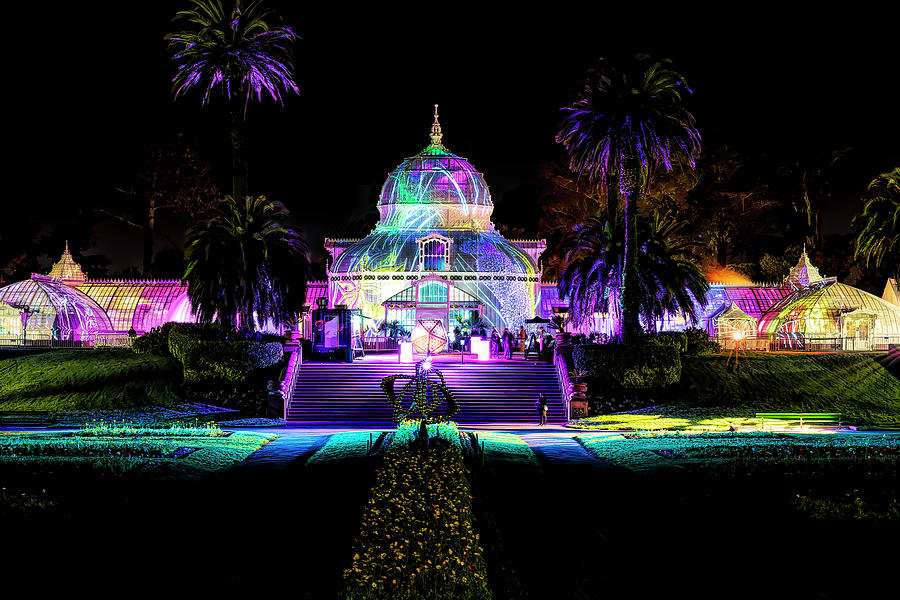 Conservatory of Flowers Night Bloom Photograph by Terry Scussel
