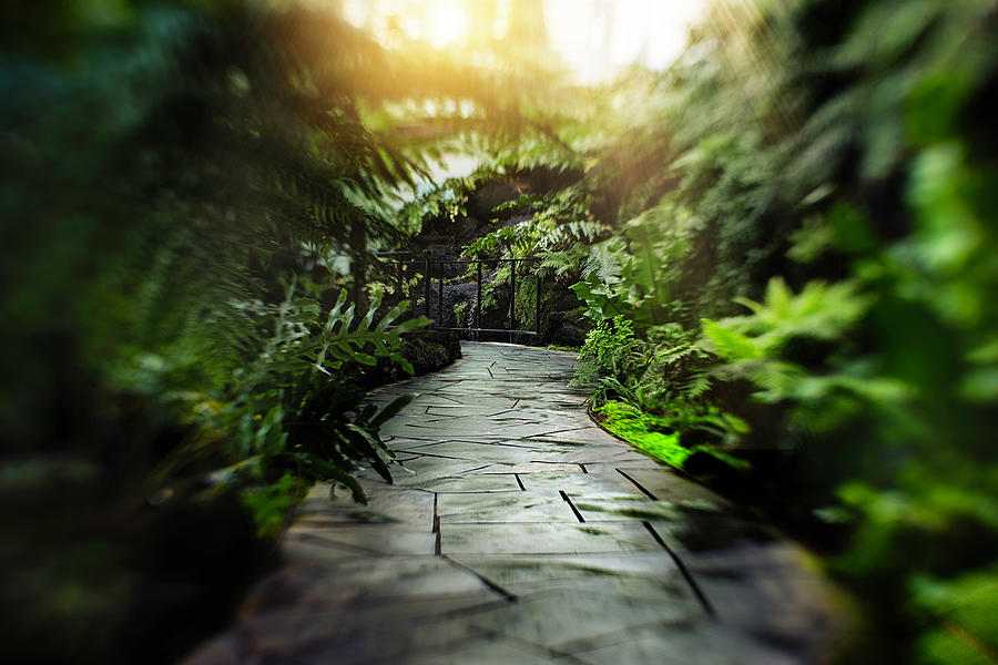 Conservatory Stonewalk Photograph by Nicole Engstrom