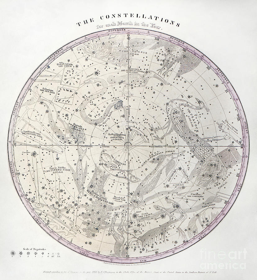 Constellations - South Pole Drawing by Granger