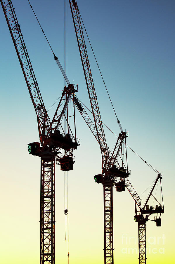 Construction Cranes at Sunset Silhouette Photograph by Tim Gainey