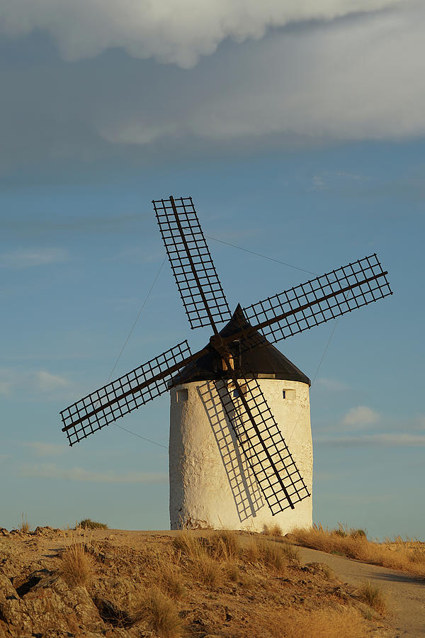 Consuegra Windmill  Photograph by Richard Reeve