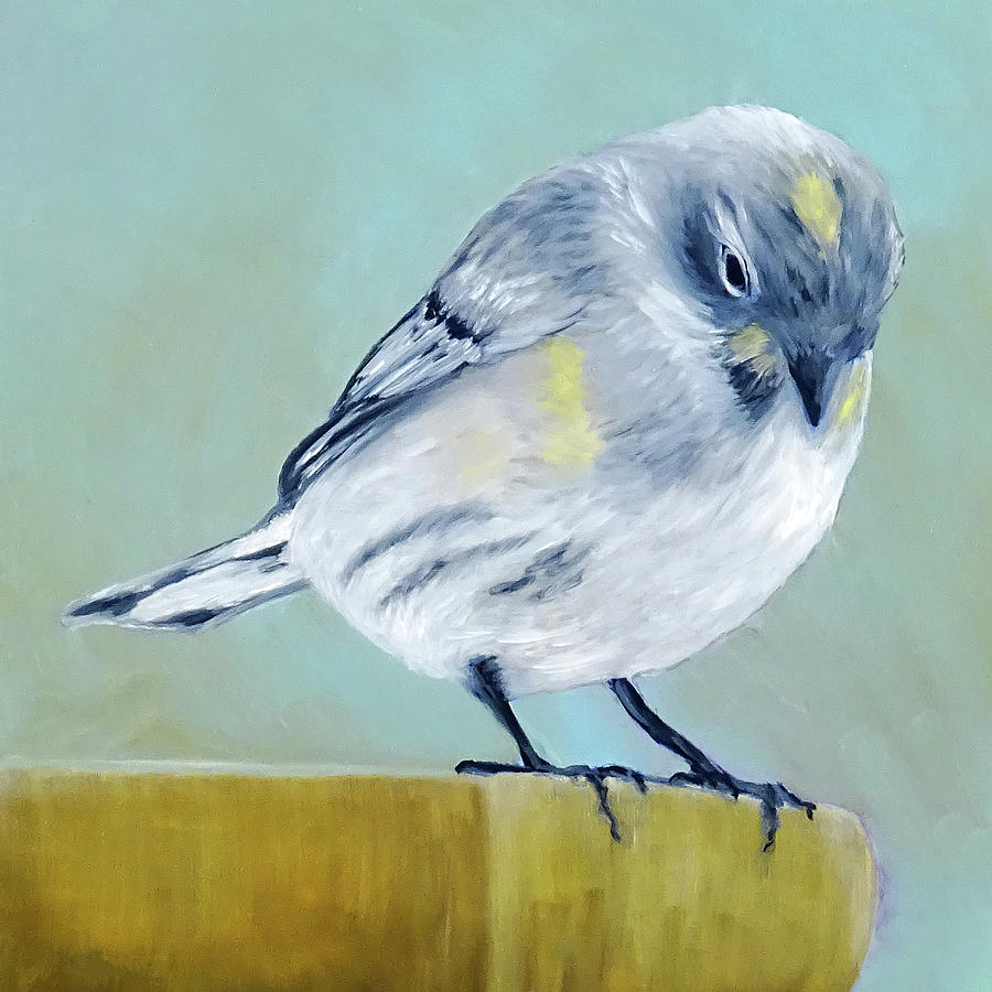 Warbler Painting - Contemplation by Vicki Rees
