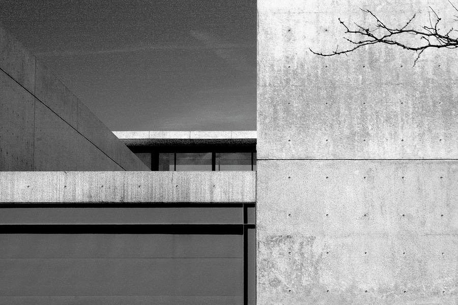 Contemporary Concrete Block Architecture Tree Photograph by Patrick Malon