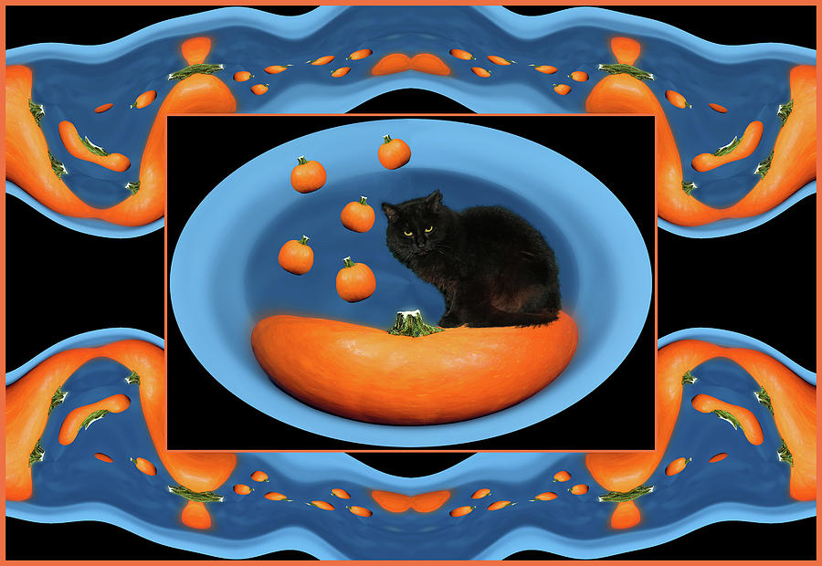 Contorted Pumpkins Digital Art