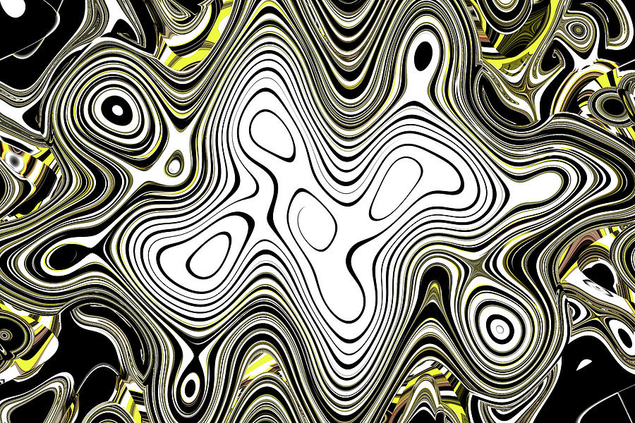 Contour  Abstract Black And White Digital Art by Tom Janca