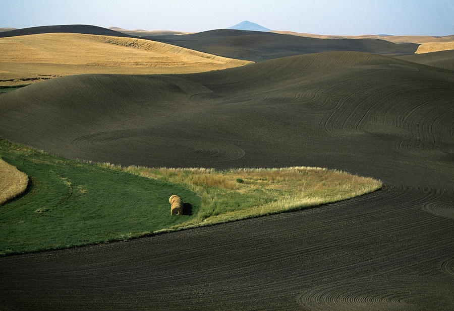 Contour plowed fields, Washington state Photograph by Glowimages