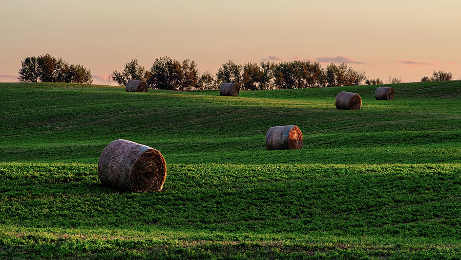 Contours - Hay bales on a rolling ND alfalfa field at sunset Photograph by Peter Herman