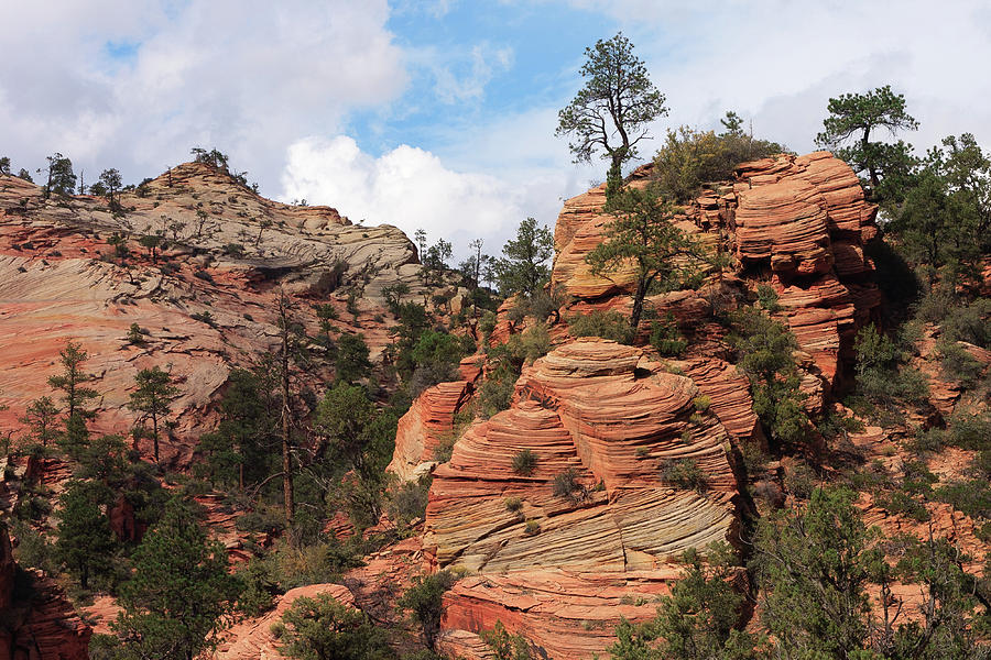 Contrasting Sandstone Photograph by Jack and Darnell Est