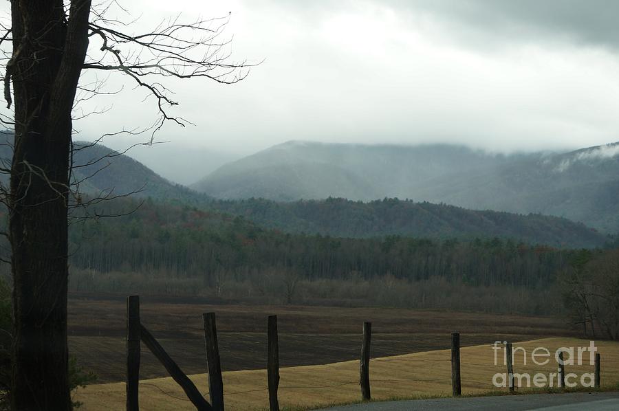 Nature Photograph - Controlled Fire Landscape In Cades Cove by Maxine Billings