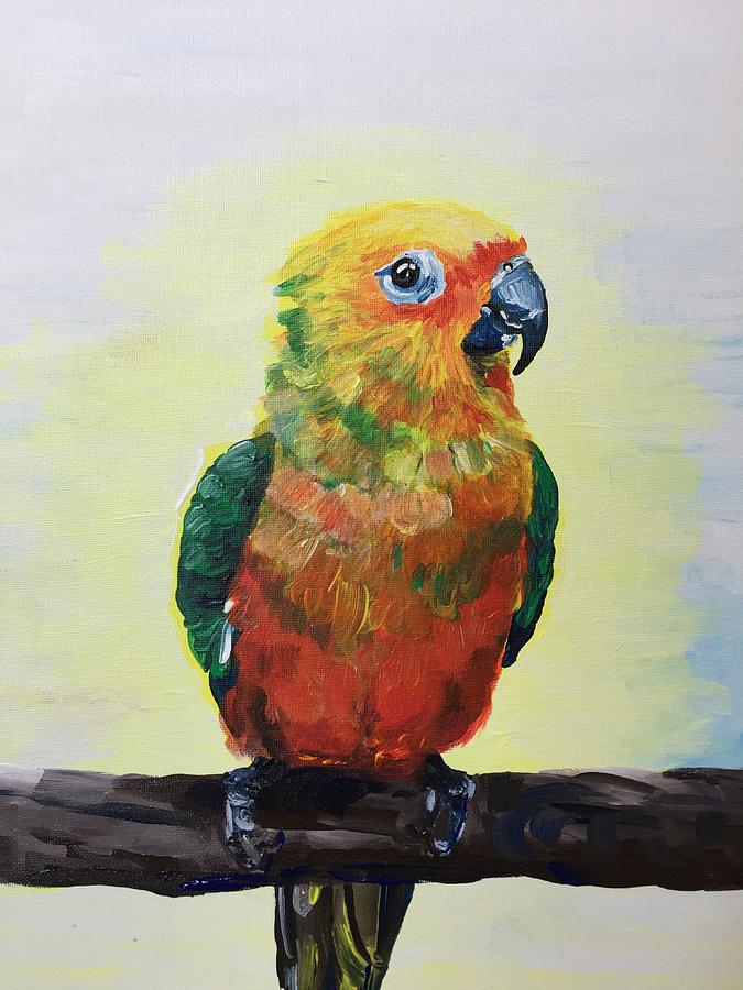 Jenday Conure Painting by Danielle Rosaria