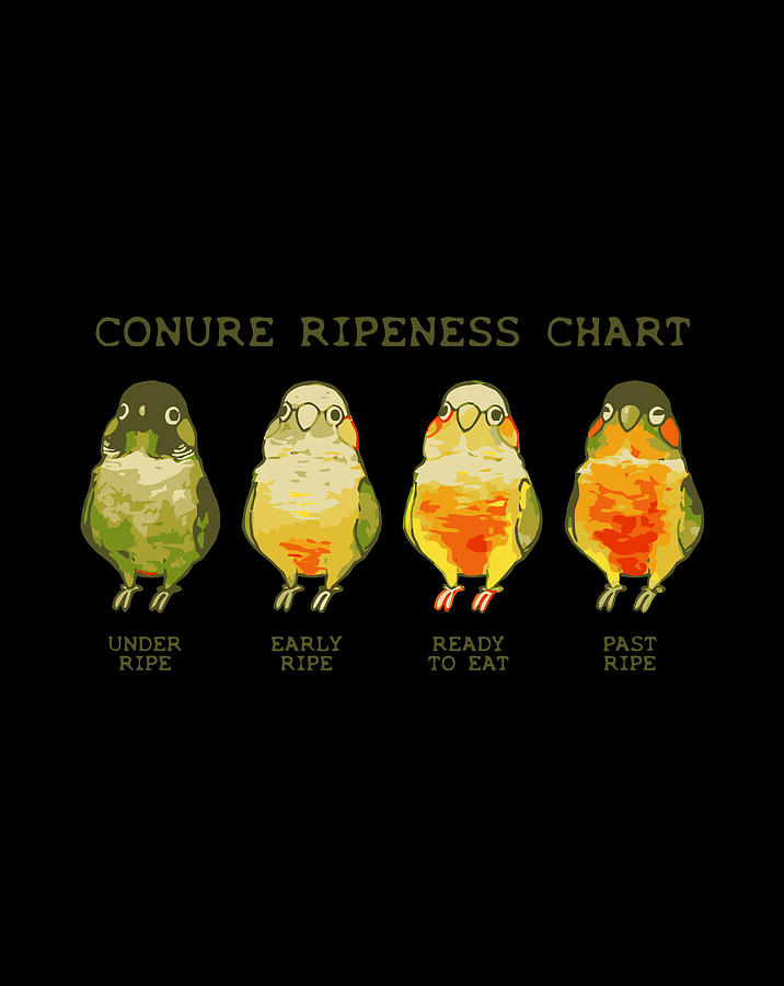 Conure Chart
