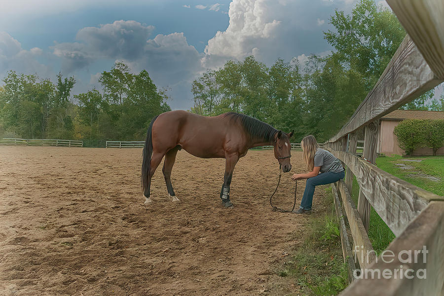 Conversations With A Horse Photograph