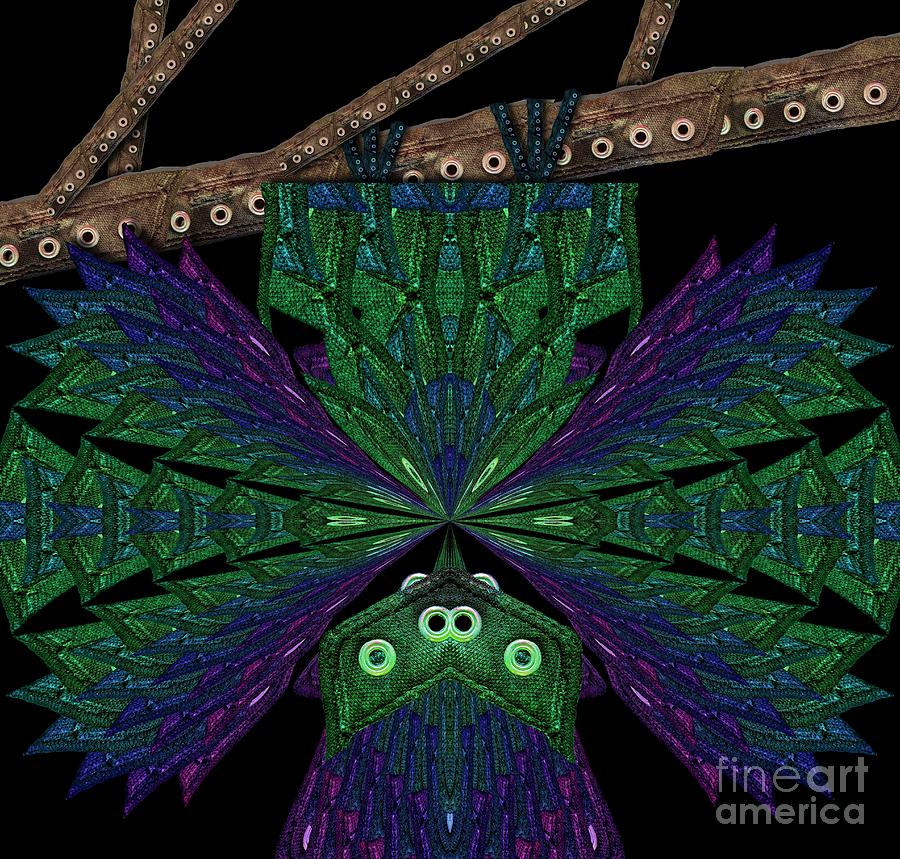Converse Peacock Bat Digital Art by Lori Kingston