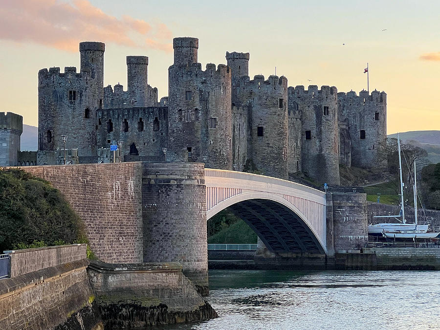 Conwy Castle Photograph by Flat Owl Photo - Fine Art America