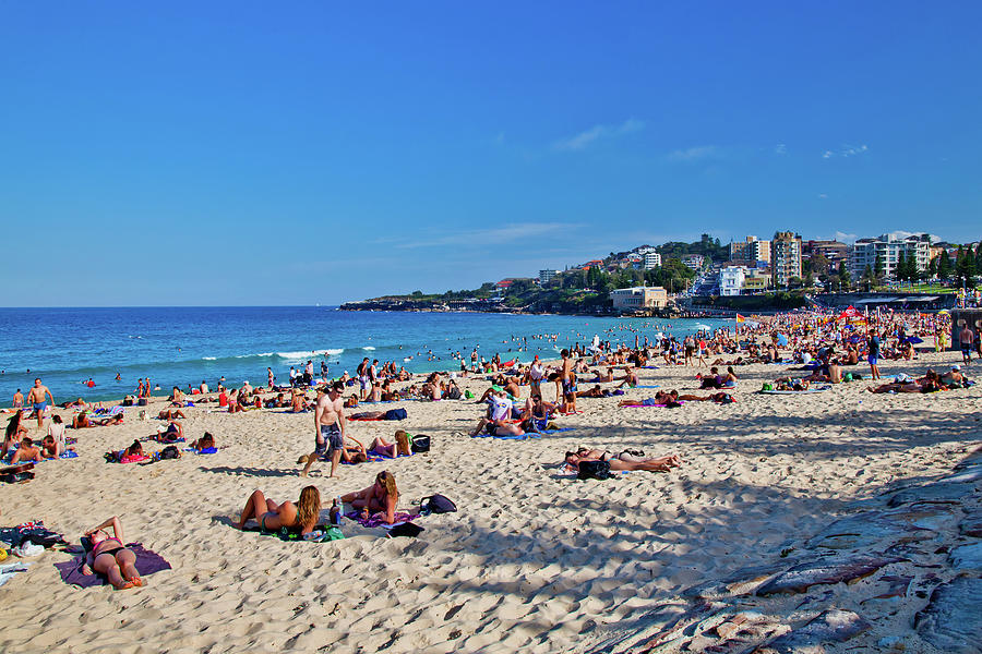 Coogee Summers Photograph by Az Jackson