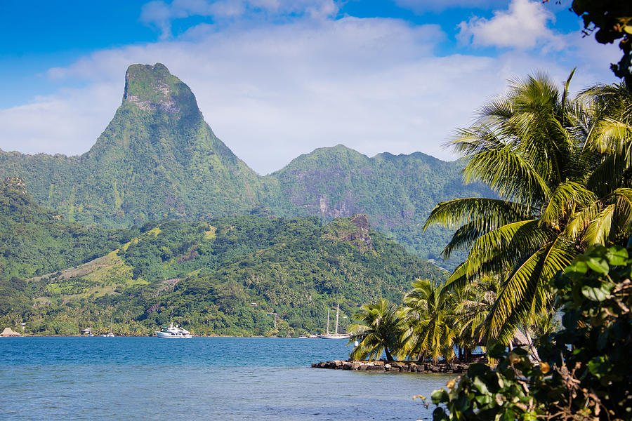 Cook Bay with Mount Mouaputa on Moorea, French Polynesia Photograph by Jan-Otto