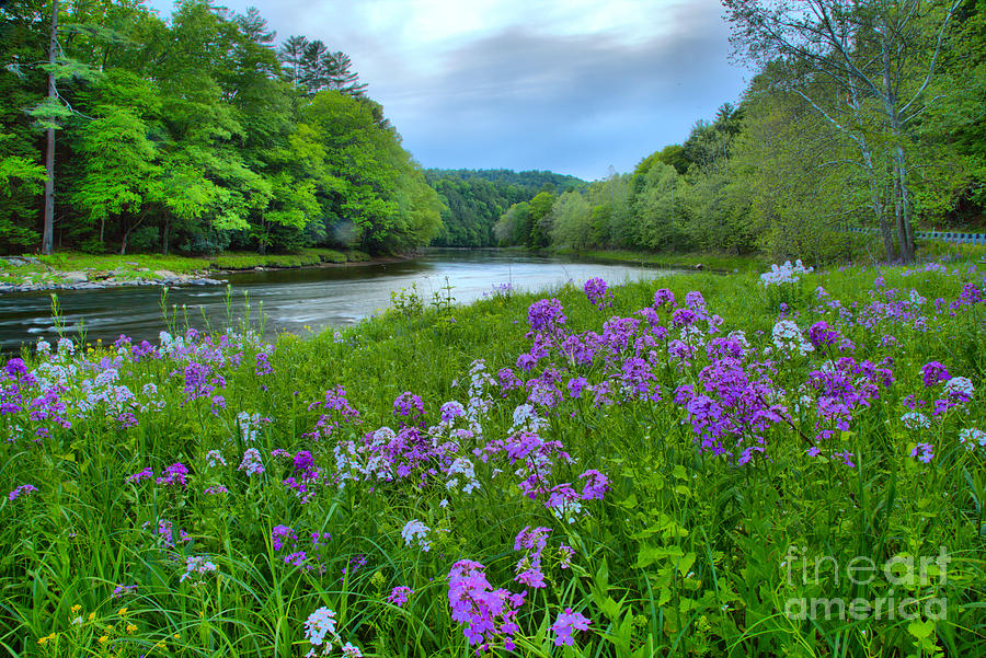 Cook Forest Clarion River Sunset Photograph by Adam Jewell