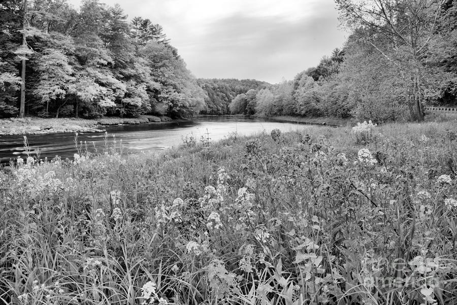 Cook Forest Clarion River Sunset Black And White Photograph by Adam Jewell