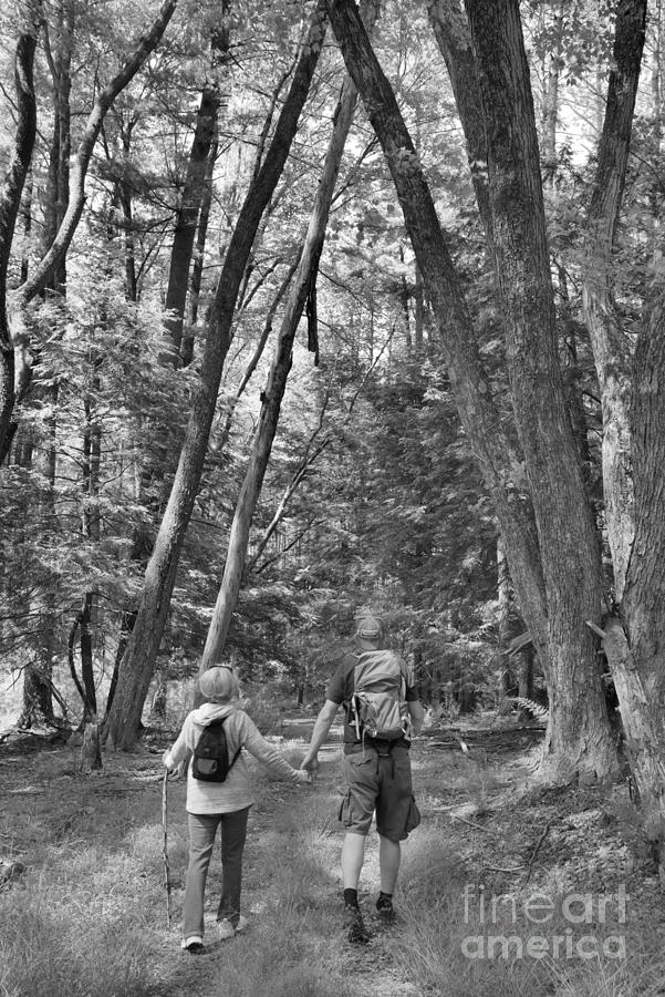 Cook Forest Hikers Under The Arch Black And White Photograph by Adam Jewell