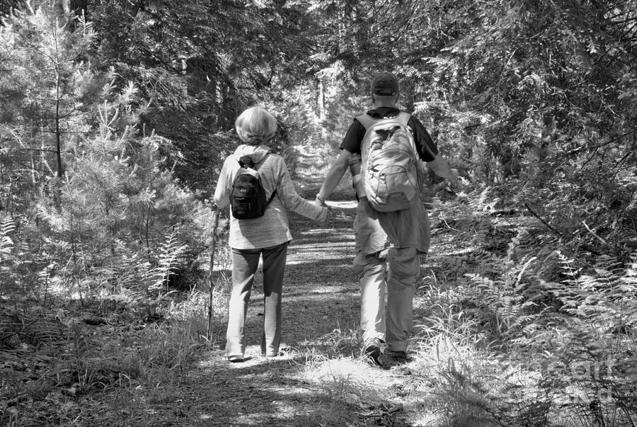 Cook Forest Hiking Partners Black And White Photograph by Adam Jewell Cook Forest Hiking Partners Black And White Photograph by Adam Jewell