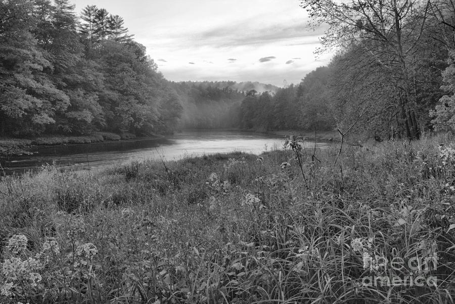 Cook Forest Orange Skies Black And White Photograph by Adam Jewell Cook Forest Orange Skies Black And White Photograph by Adam Jewell